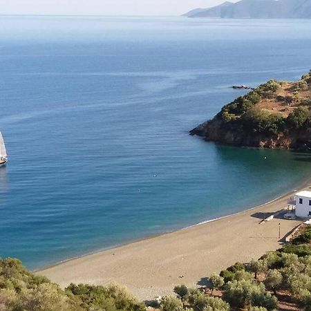 Κατοικία Πανόραμα, Πραγματευτή Λεωνιδίου, Τ.Κ.22300 Leonídion Eksteriør bilde