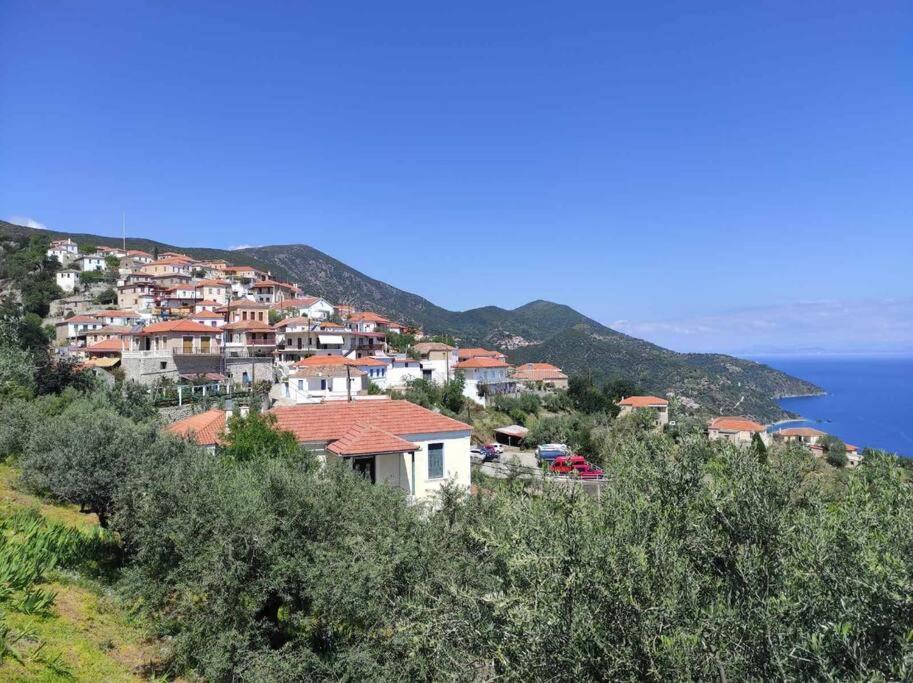 Κατοικία Πανόραμα, Πραγματευτή Λεωνιδίου, Τ.Κ.22300 Leonídion Eksteriør bilde
