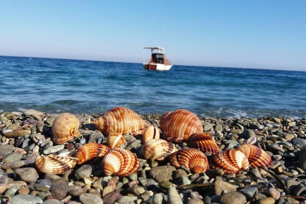 Κατοικία Πανόραμα, Πραγματευτή Λεωνιδίου, Τ.Κ.22300 Leonídion Eksteriør bilde